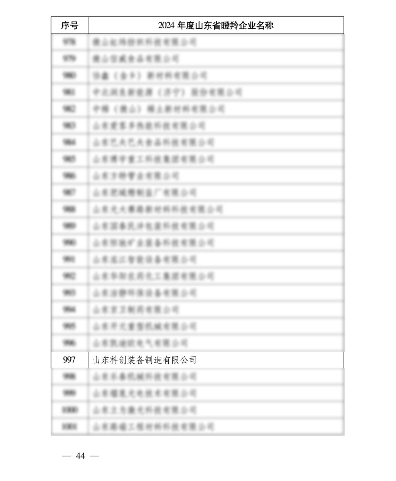 شركة شاندونغ غازيل 2024 شركة شاندونغ غازيل 2024